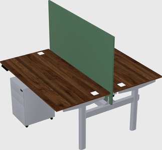 Shared electric desk