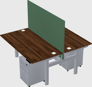 Shared electric desk