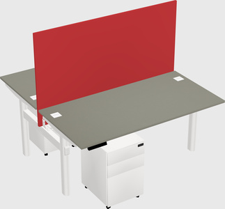 Shared electric desk