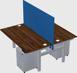 Shared electric desk