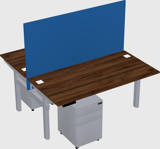 Shared electric desk