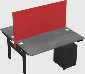 Shared electric desk