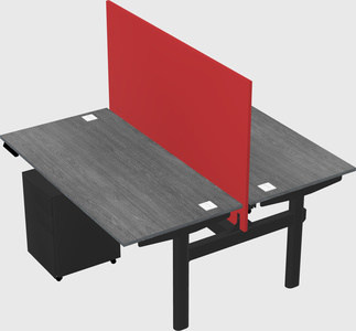 Shared electric desk