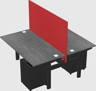 Shared electric desk