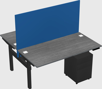 Shared electric desk