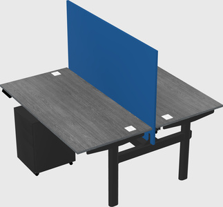 Shared electric desk