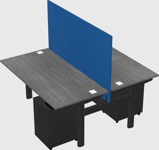 Shared electric desk