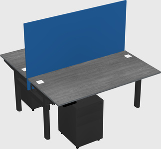 Shared electric desk
