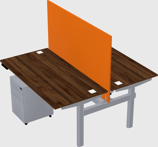 Shared electric desk