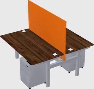 Shared electric desk