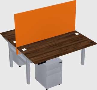 Shared electric desk