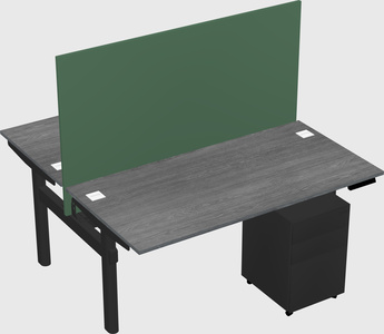 Shared electric desk