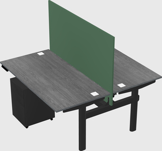 Shared electric desk