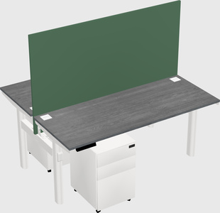 Shared electric desk