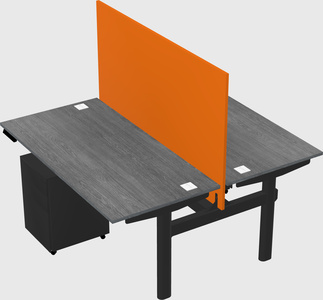 Shared electric desk