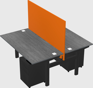 Shared electric desk