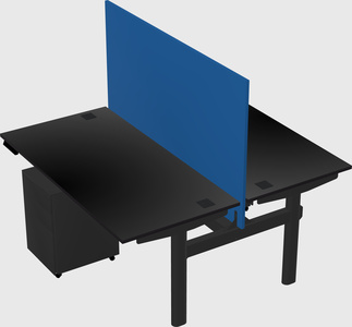 Shared electric desk