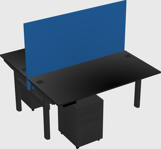 Shared electric desk