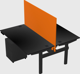 Shared electric desk