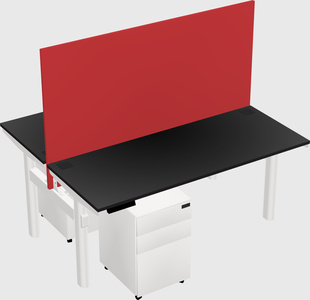 Shared electric desk