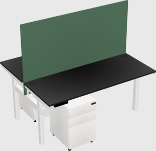 Shared electric desk