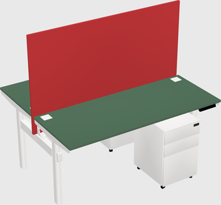 Shared Electric Desk