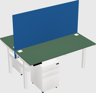 Shared electric desk