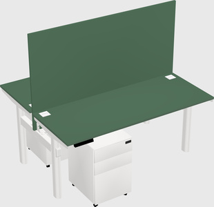 Shared electric desk