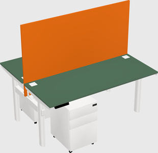 Shared electric desk