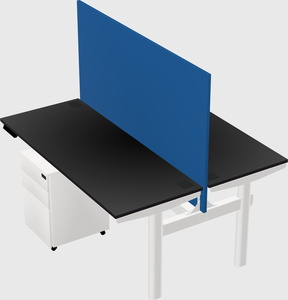 Shared electric desk