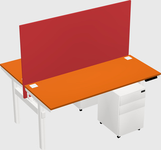 Shared electric desk