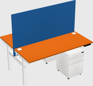 Shared electric desk