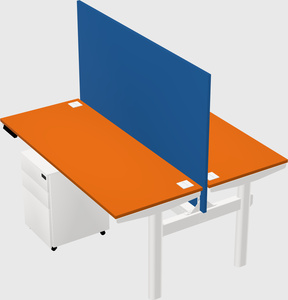 Shared electric desk