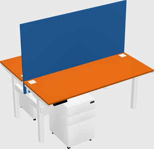 Shared electric desk