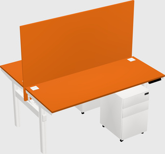 Shared electric desk