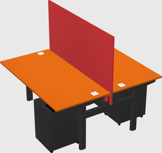 Shared electric desk