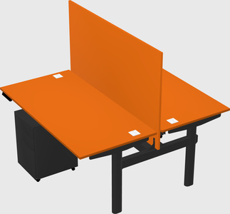 Shared electric desk