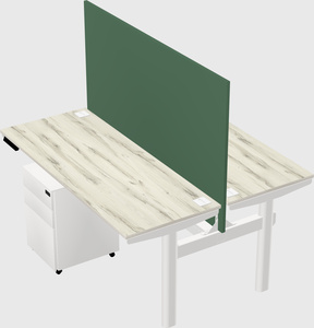 Shared electric desk
