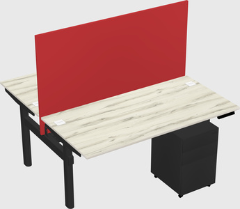 Shared electric desk