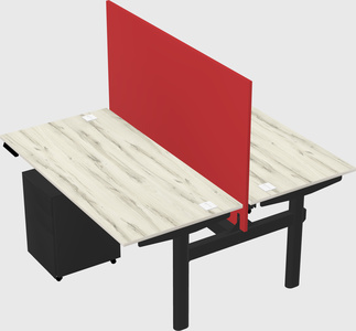 Shared electric desk