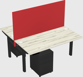 Shared electric desk