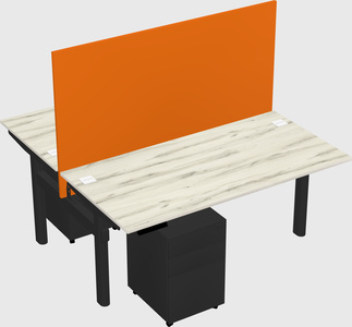 Shared electric desk
