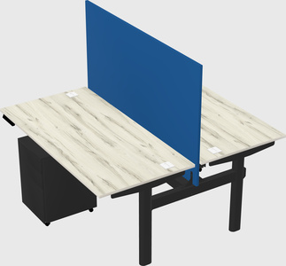 Shared electric desk