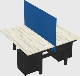 Shared electric desk