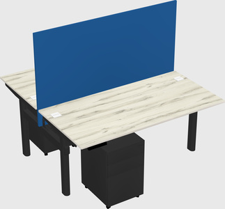 Shared electric desk