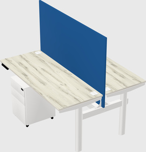 Shared electric desk