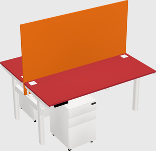Shared electric desk