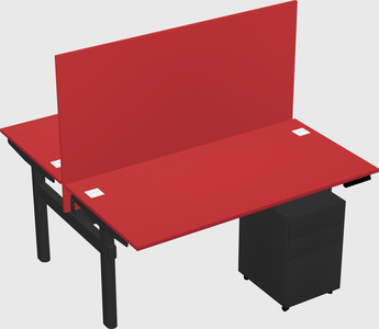 Shared electric desk