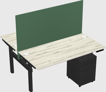 Shared electric desk