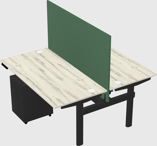 Shared electric desk